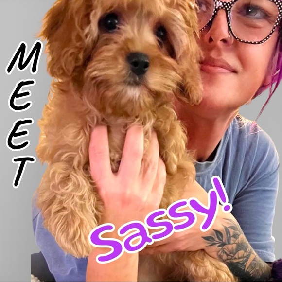 I’m LIVE💜 - Picture 2 of 16